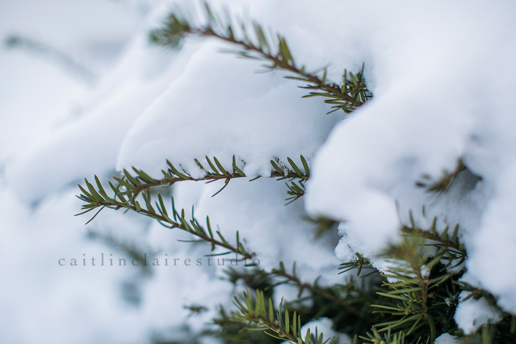 Caitlin_Claire_Studio_Wisconsin_Photography_Tennessee_Winter_Snow_02