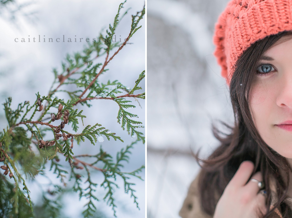 Caitlin_Claire_Studio_Wisconsin_Photography_Tennessee_Winter_Snow_17