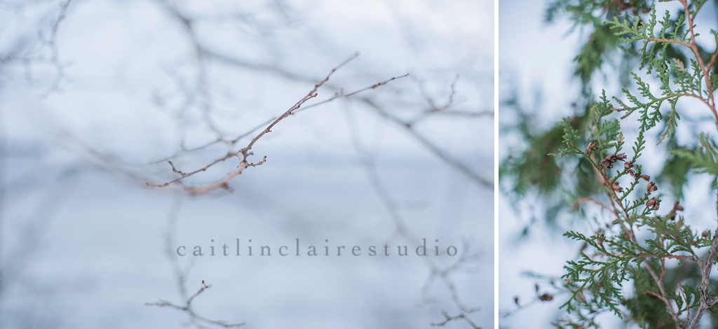 Caitlin_Claire_Studio_Wisconsin_Photography_Tennessee_Winter_Snow_19